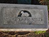 image of grave number 169384